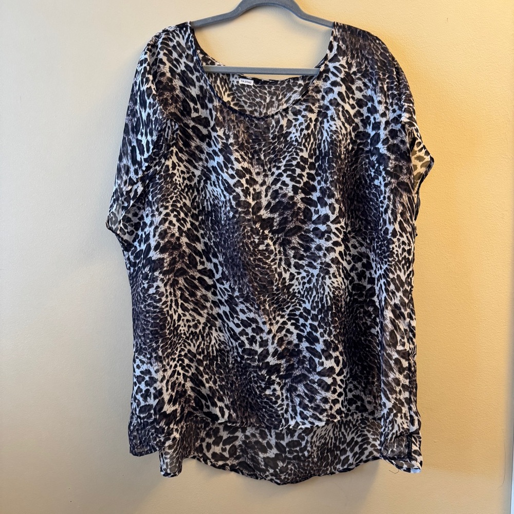 Dolman Sleeve Sheer Leopard Print Women's Top